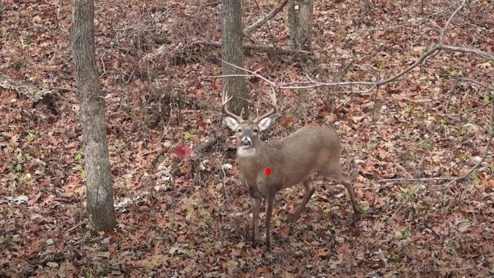 Whitetail Video: Dealing With Quartering-Toward Bow Shots