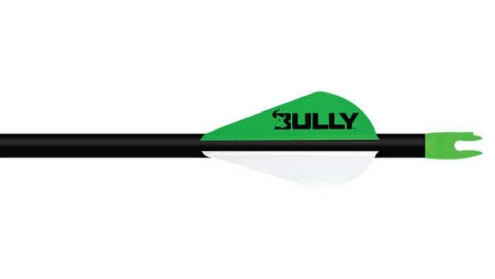 Bully Premium Arrow Vanes