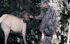 When your normal elk hunting tactics fail, try these—part I