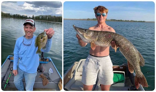 The author (left) caught this big bluegill on a leech during his spring vacation in northern Minnesota. A couple months later, a fishing partner of the author’s son landed this big northern pike on a leech in South Dakota. Both leeches were part of the original half-pound of leeches purchased by the author on his vacation.
