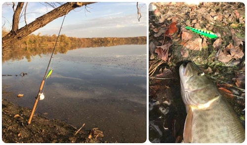 The author caught a 35-inch muskie taken while wading in mid-October 2021. FYI: Taking a good pic of a decent-size muskie isn’t easy while wading because the chance of dropping your phone in the drink is high.