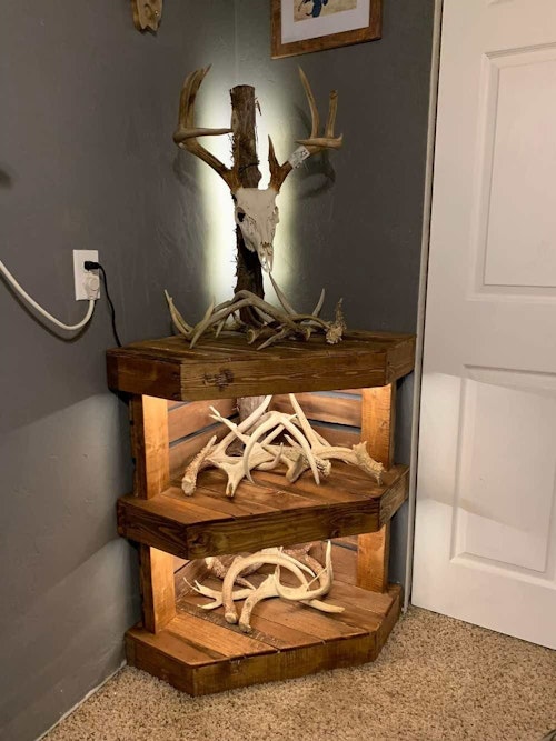 This corner display for a European mount and shed antlers was designed and built by a high school student for a shop class project.