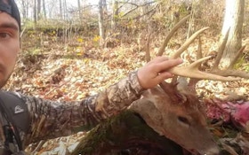 Whitetail Video: Coyotes Devour Bow-Killed 12-Point Buck