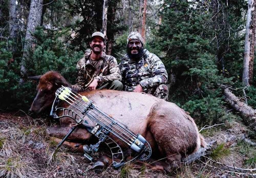 This cow elk is the result of a well-tuned bow and a lot of patience.