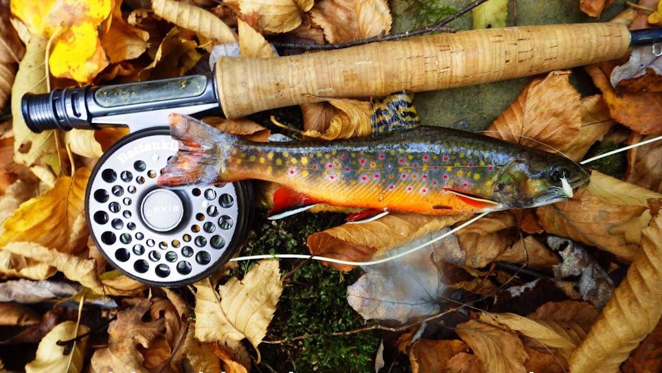 Celebrating — and Funding — Opening Day of Fishing Season