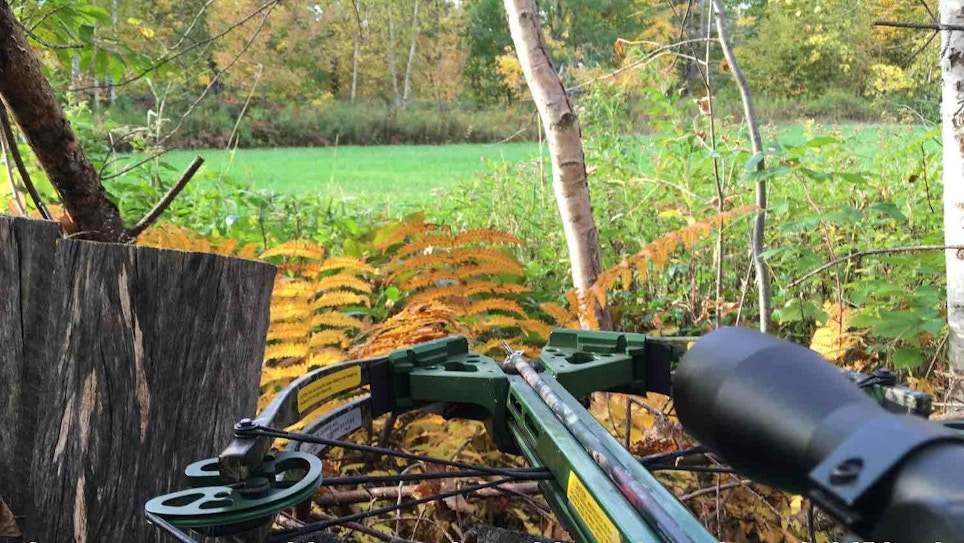 A Whitetail Hunter’s Biggest Mistake