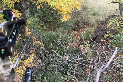 In the woodland scenario below, the author has cleared two shooting lanes. The doe has entered the right lane and is walking toward the left lane. Note: The photo was taken while the author was sitting; when he stands, the shooting lane is perfectly clear.