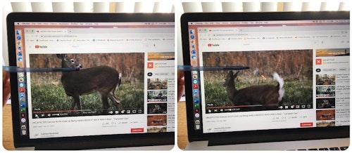 The author replayed the video below and held a pen at the level of the doe’s backline (left) to test whether she dropped at the shot. As the right photo shows, to run she must first bend her legs, which drops her body to the ground, causing the arrow to barely clip the doe’s back.