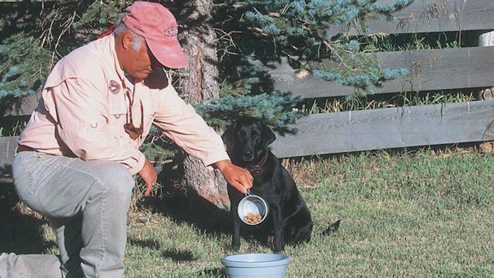 Choosing Dog Food for Your Sporting Dog
