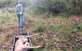 Video: Two Proven Methods for Hauling a Whole Deer From the Field