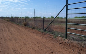 High-Fence: Is It Hunting or More Like Collecting?