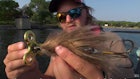 Video: Angler Catches Big Musky on Homemade Bucktail Tied With His Own Hair
