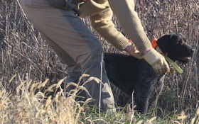 Hunting Dogs Have One-Track Minds, And That’s A Good Thing