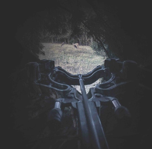 The view from the author’s well-concealed ground blind. Feeding whitetails didn’t have a clue he was sitting 30 yards away. In fact, deer often circled his blind within 10 yards and never spooked, even when the wind wasn’t quite right.