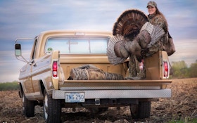 4 Tips for Tagging Your First Wild Turkey