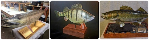 Fish reproductions carved from wood by Capt. Hans Mann — Hans the Carver.