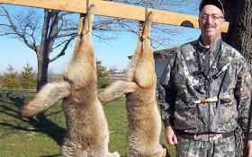 From The Readers: Shotgun coyotes