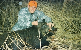 From The Readers: Face-to-face hog hunting