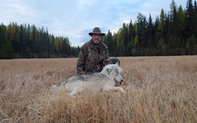 From The Readers: The Journey Of A Wolf Kill