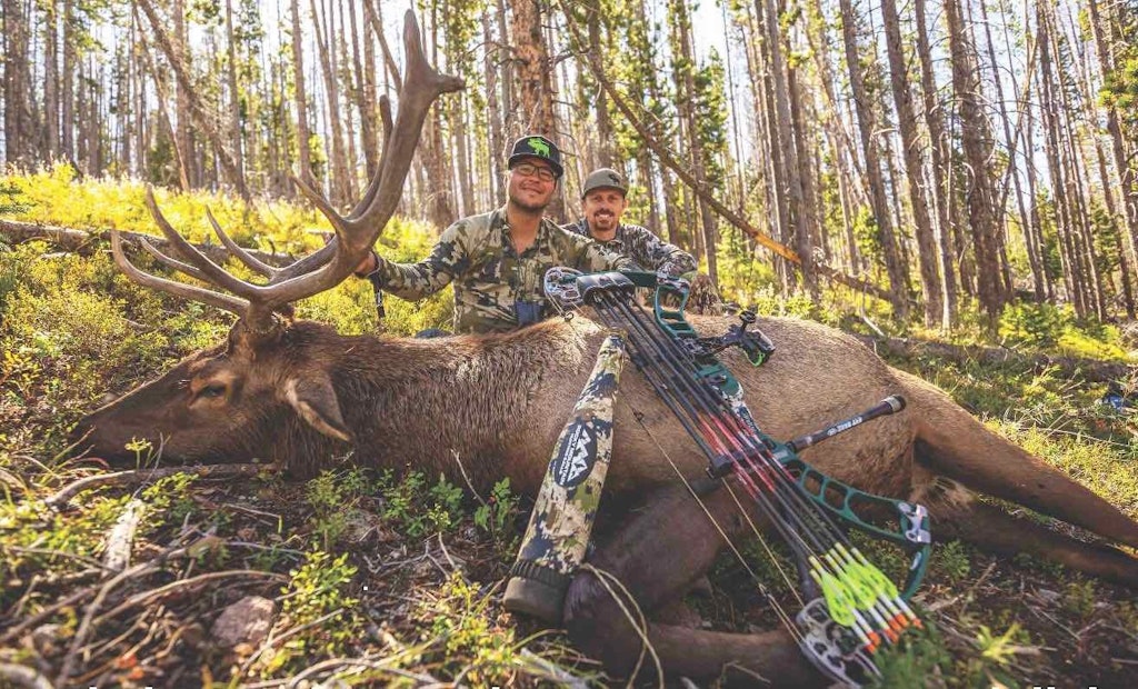Bowhunting Elk on Public Ground — Have Heart