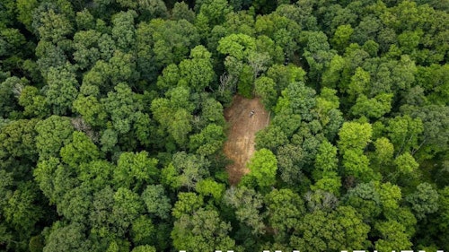 Food plots placed deep in the woods become whitetail magnets when hunting pressure pushes deer away from ag fields and other open areas.