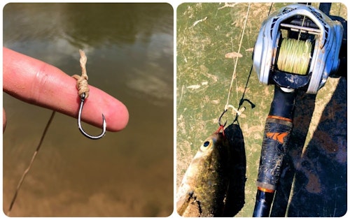 Henry Martin says that anglers don’t need huge hooks to catch huge gator gar. He relies exclusively on a 1/0 Gamakatsu live bait hook. He said, “It comes down to a small hook has a tiny hook point circumference; it’s easier for it to defeat the armor of a gar’s mouth than with a large hook, which has to shatter the armor to penetrate.”