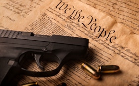 Some States To Weigh Tougher Gun Control Through Election
