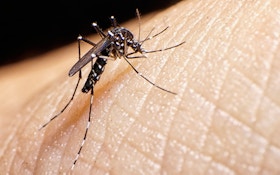 10 Facts You Probably Didn't Know About Those Annoying Mosquitos