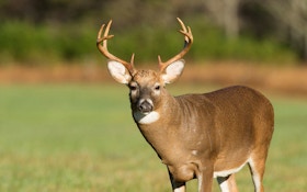 CWD Causes Mandatory Inspections In Missouri