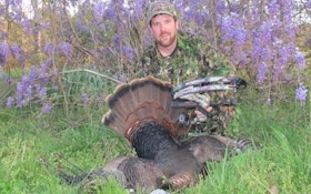 Patience pays off in the hunt for an elusive Eastern Gobbler