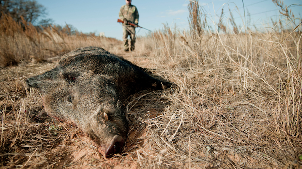 Take Precautions When Cleaning And Butchering… | Grand View Outdoors
