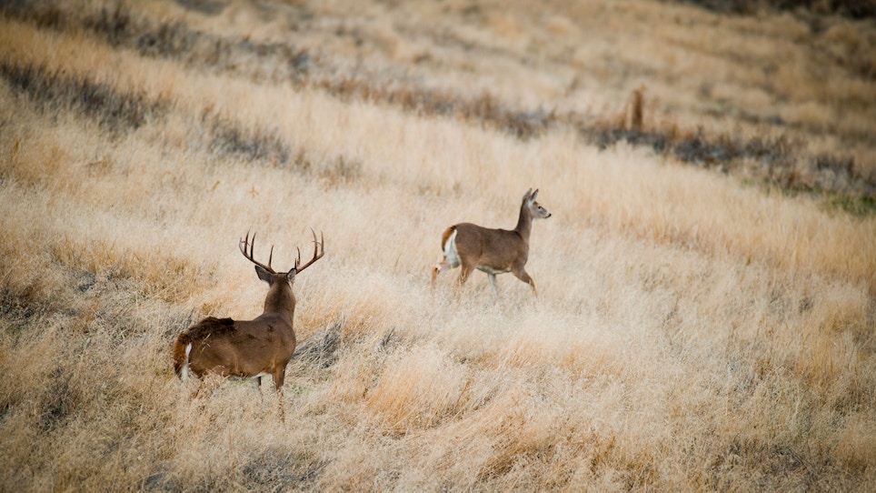 Making the Second Rut Work — Part 1