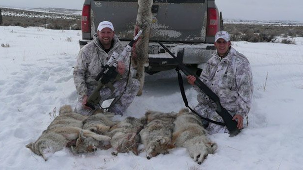 Hunt Harder for Late Season Coyotes