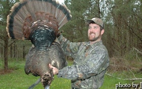 Lessons From a Turkey Hunting Guide