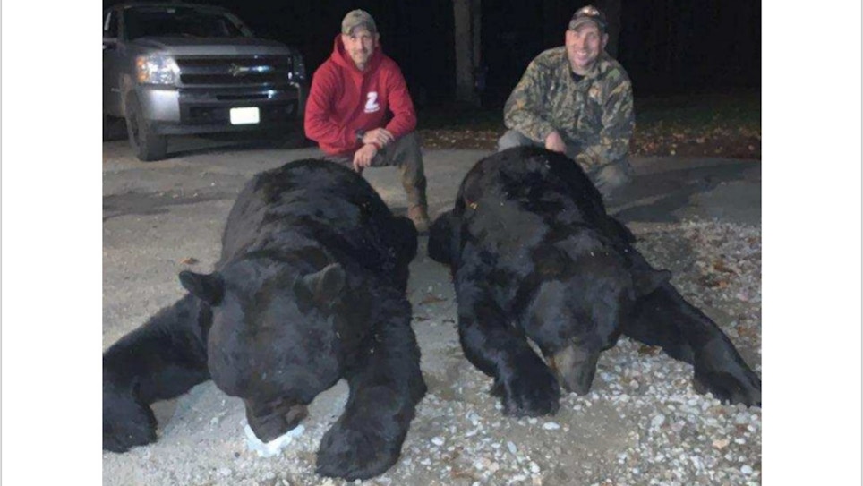 Black Bear World Record Certified by Pope and Young Club
