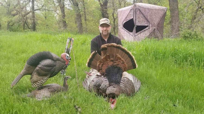 Wild Turkey Tip: Don’t Leave for Lunch
