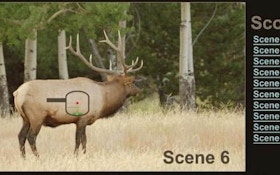 Online Elk Hunt Practice