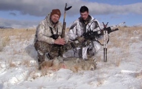Using An AR For Coyote Hunting