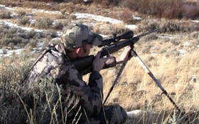 Shooting Coyotes At Long Range