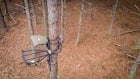 Whitetail Pursuits: Gearing Up for a Hang-and-Hunt