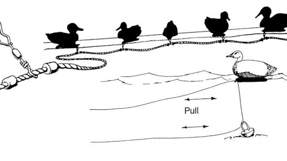 Easy-Does-It Decoy Rigging Tips