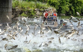 Officials Cautiously Optimstic About Spread of Silver Carp