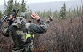 Video: Spot-and-Stalk Archery Moose in the Yukon