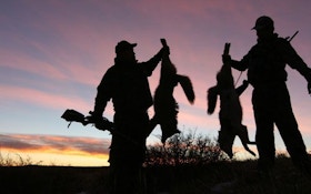 Fur prices are on the rise predator hunters