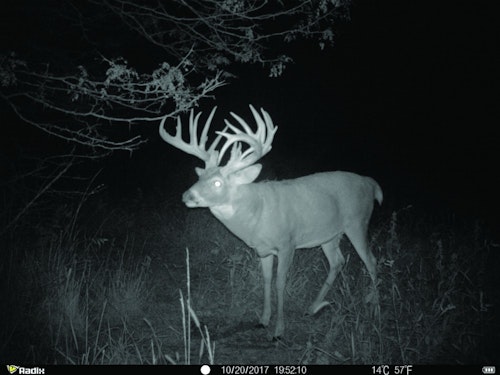 Giant whitetail bucks occur across their range, but carefully conducted research can put you in a hot-zone for world-class bucks.