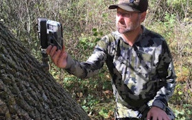 4 Tips for Better Trail Cam Pics