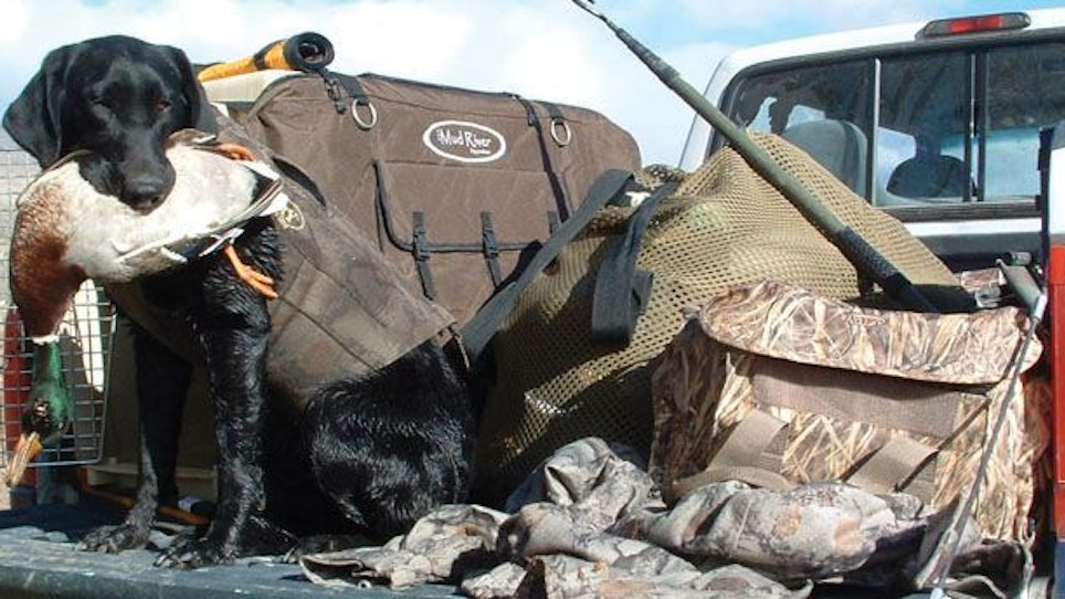 Traveling With A Hunting Dog, Part II