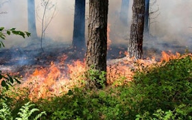 Things to Consider Before a Controlled Burn