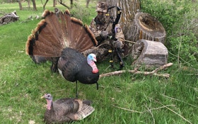 Bowhunting Turkeys: Carry Two Different Broadhead Types
