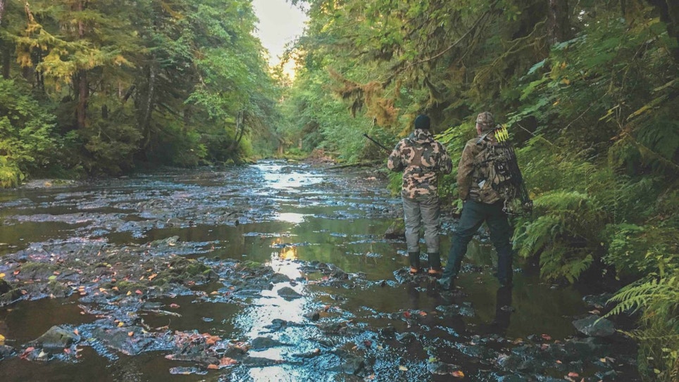 Bowhunting Brown Bears in Southeast Alaska